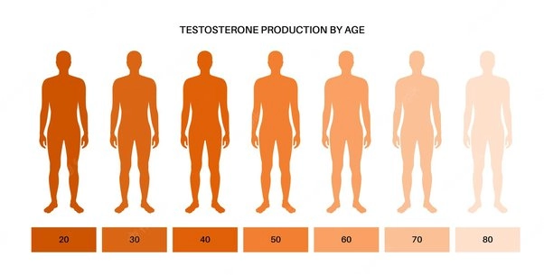 Testosterone reduction by age