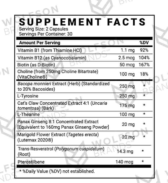 noocube ingredients